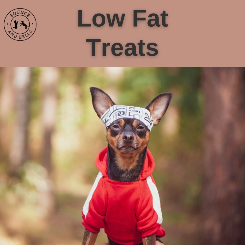 Low Fat Treats