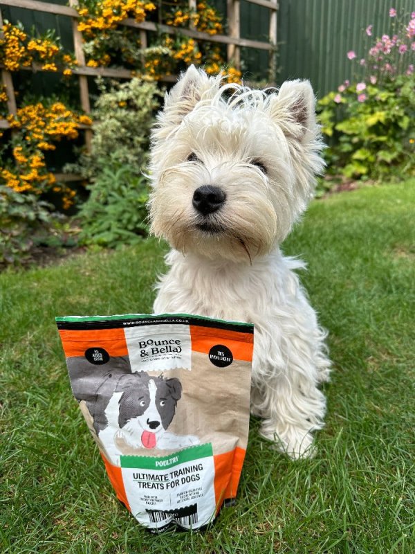 Gracie and her favourite poultry treats!