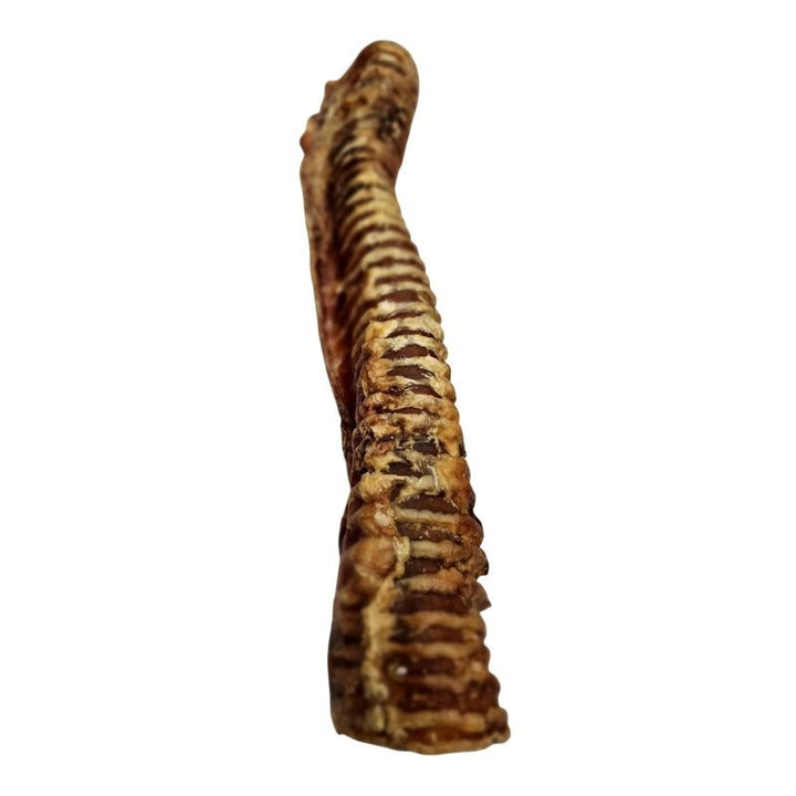 Beef Trachea Low-fat &amp; calming natural chew for all ages