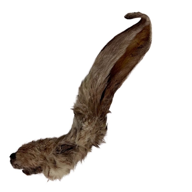 **Discounted Multipack** - 5 Packs for only £14.45 - Natural Rabbit Ears with Hair,  Natural Dental Chews - 5 Pack