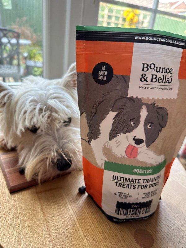 Rosie and her favourite poultry treats!