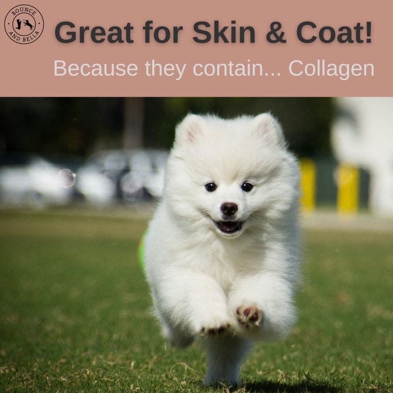  Great for Skin &amp; Coat! Because they contain... lots of Collagen