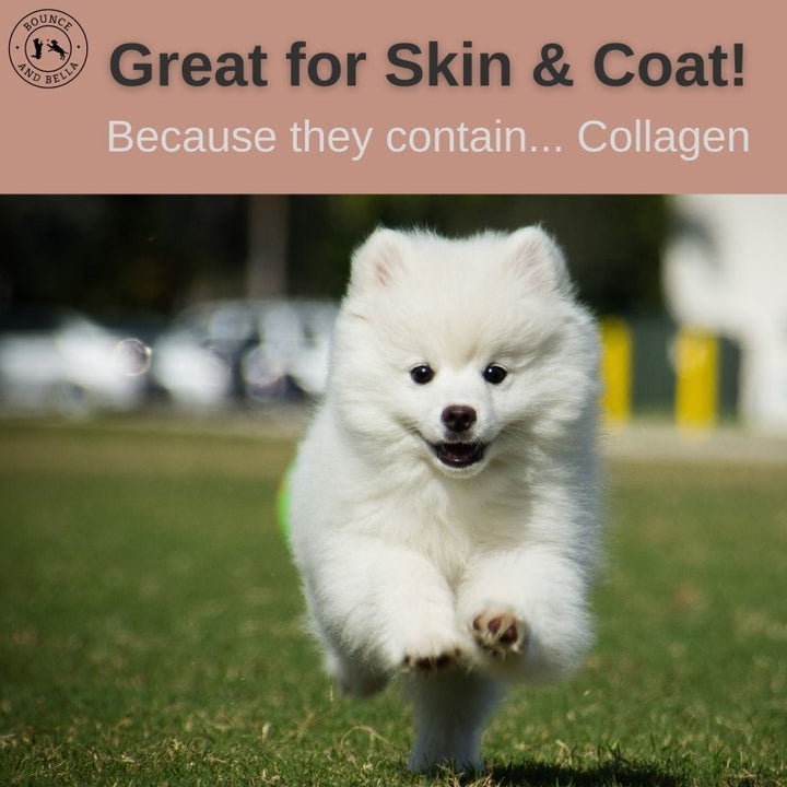  Great for Skin &amp; Coat! Because they contain... lots of Collagen