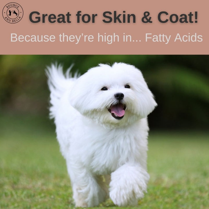  Great for Skin &amp; Coat! Because they contain... lots of Collagen