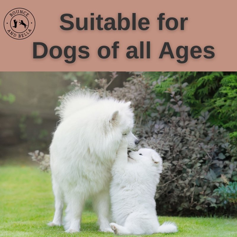Suitable for dogs of all ages